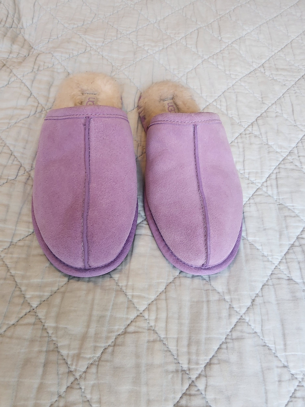 UGG Scuffette Women's Lavender Suede Shearling Slippers